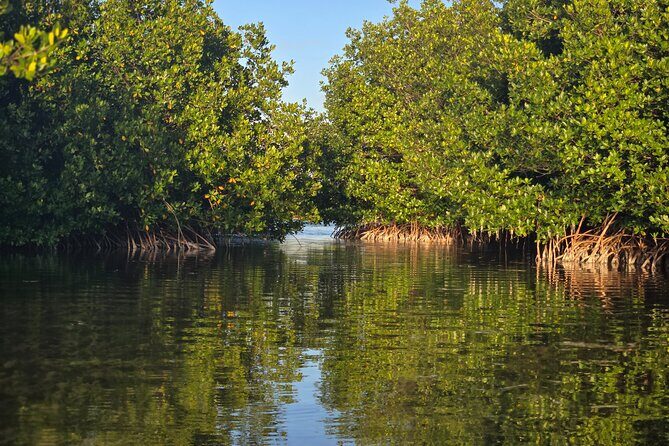 Florida Keys Kayak And Paddleboard Rentals - Final Thoughts