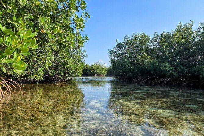 Florida Keys Kayak And Paddleboard Rentals - FAQ