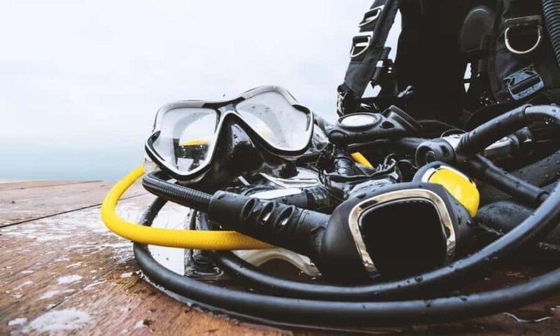 Florida Keys: Scuba Diving & Snorkeling Reef Trip - The Experience: A Closer Look at the Day