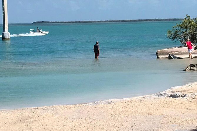 Florida Keys Tour and Private Transportation service - Who Will Love This Tour?