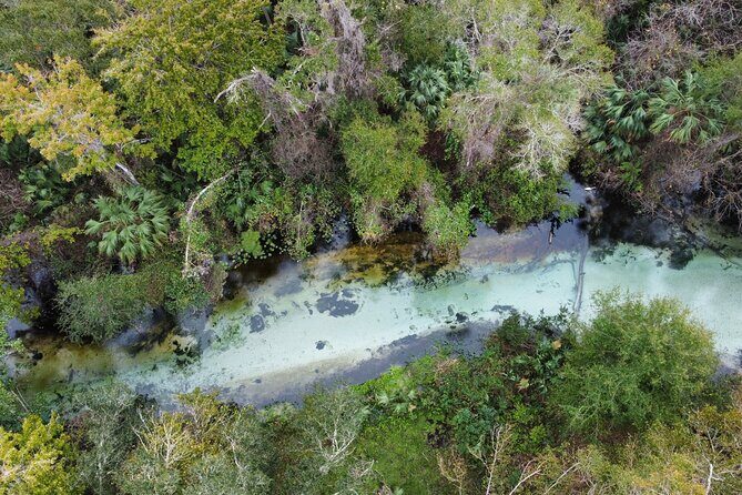 Florida paddle excursions - What to Expect from the Tour