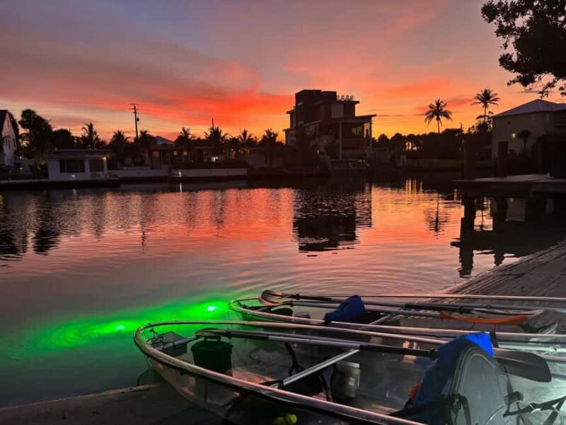 Florida: Sharkey's Guided Fish Feeding LED Night Tour - Key Points
