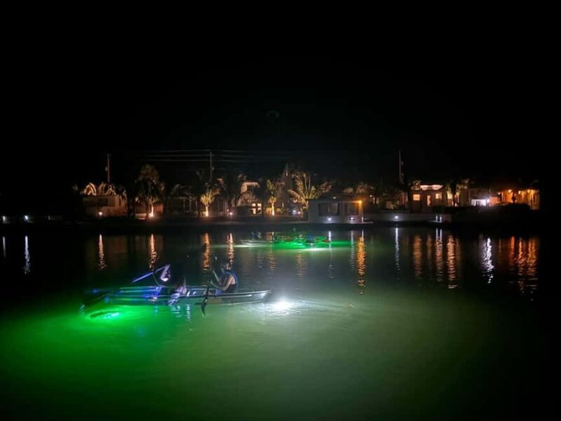 Florida: Sharkey's Guided Fish Feeding LED Night Tour - A Closer Look at the LED Night Kayaking Experience