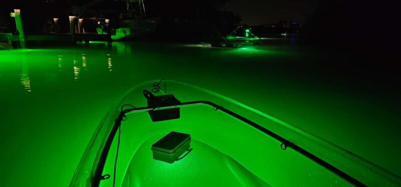 Florida: Sharkey's Guided Fish Feeding LED Night Tour - The Magical LED Hologram Finale