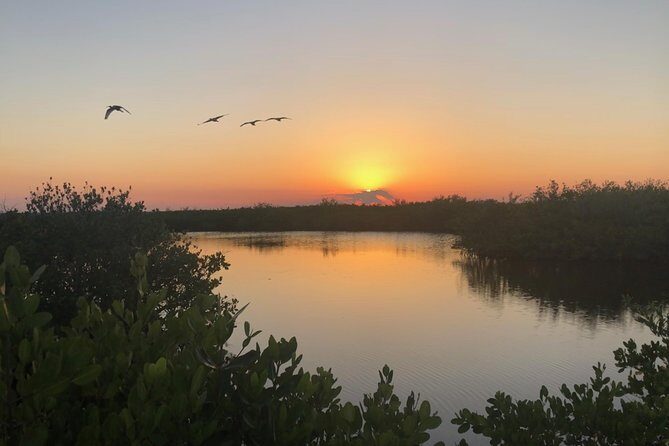 Florida Sunset and Bioluminescence Package - Who Should Consider This Tour?
