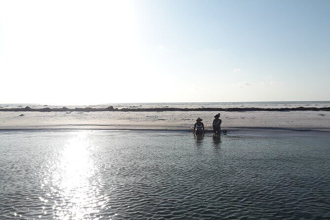 Florida's Beautiful Beaches and Waterways Private Tour - What Our Reviewers Are Saying