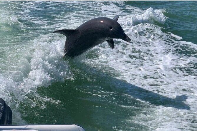 Florida's Beautiful Beaches and Waterways Private Tour - FAQs