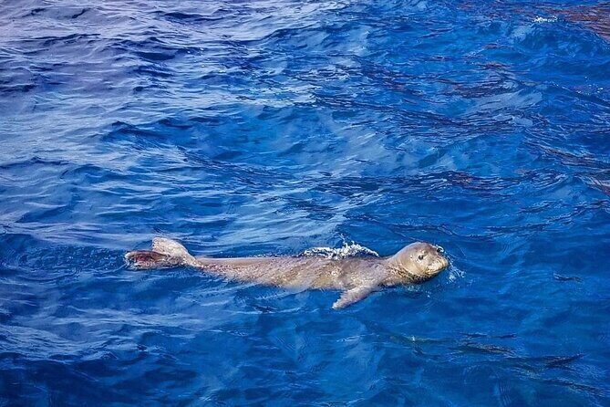 Flotation Therapy Rental 24 Hr Float Wetsuit, Goggle, Headphone - FAQ