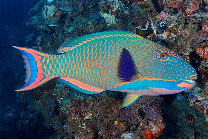 Flotation Therapy - Rental Float Suits, Goggles, Headphones 24 hr - FAQ