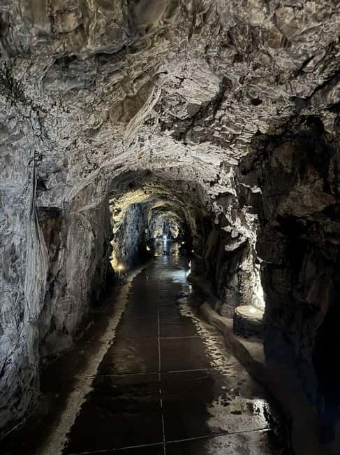 Flowers Of The Forest, Câmara de Lobos 4x4 Jeep Tour - Final Thoughts