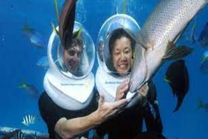 Fly in and Fly out Great Barrier Reef Cairns Day Tour - FAQ