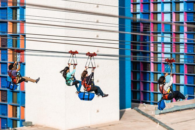 Fly LINQ Zipline at The LINQ Promenade in Las Vegas - What Do Travelers Say? Real Feedback from the Field