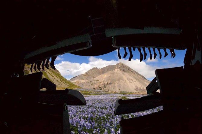 FlyOver Iceland Admission Ticket - An In-Depth Look at FlyOver Iceland