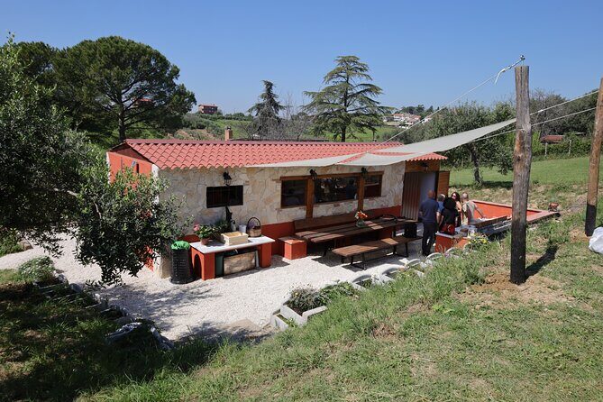 Focaccia and Pesto Cooking Class in the Roman Countryside - Final Thoughts: Who Should Book?