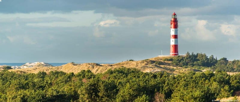 Föhr: Daytrip by boat to Amrum - Exploring the Experience of the Boat Trip