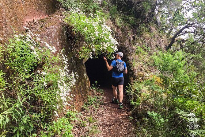 Folhadal Hidden Treasures Running Tour (Moderate) - Is It Worth the Price?