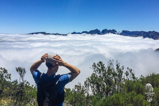 Folhadal Hidden Treasures Running Tour (Moderate) - Final Thoughts