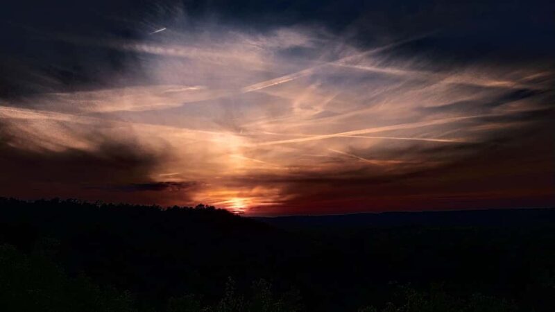 Fontainebleau: Guided Night Hike - What to Expect from the Fontainebleau Night Hike