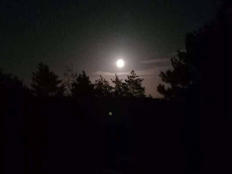 Fontainebleau: Guided Night Hike - The Experience: What’s Truly Special?