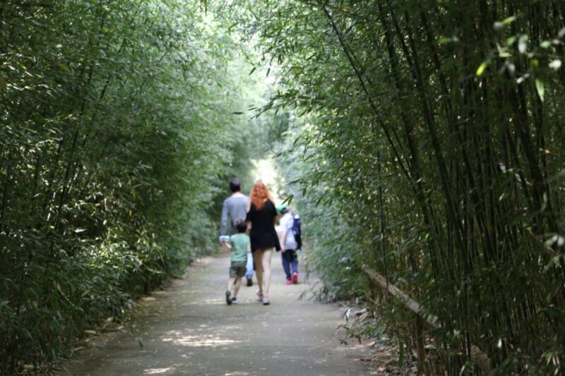 Fontanellato: Labirinto della Masone Full-Day Entry Ticket - The Breakdown: Is It Worth the Price?