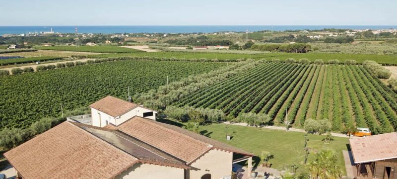 Fontefico: tour the winery and enjoy a guided tasting with local products - Key Points