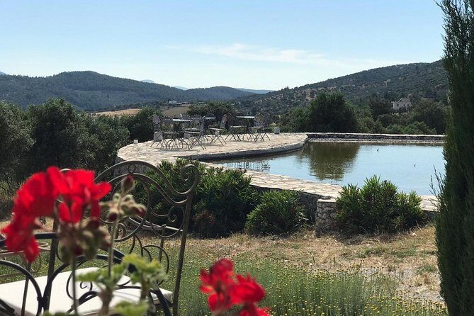 Food and Wine pairing Dinner at Karnas Vineyards Bodrum - The Pros and Cons from Travelers