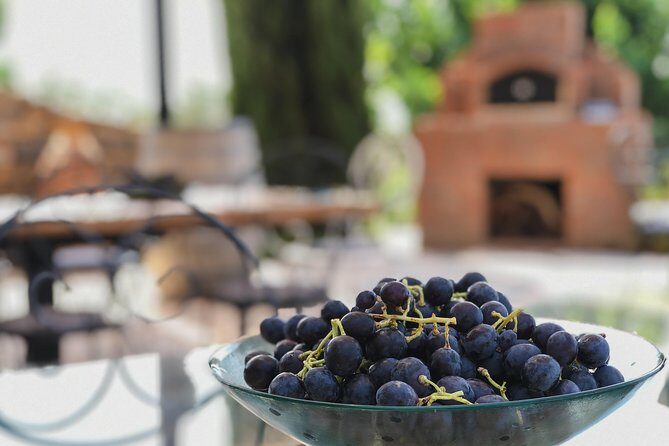 Food and Wine pairing Dinner at Karnas Vineyards Bodrum - Who Should Consider This?