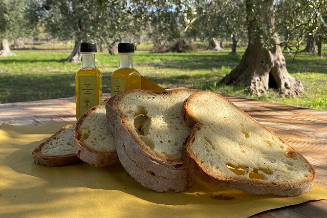 Food and Wine Tour between the Patriarchs Olives and the Oil Temples - Practical Details and Considerations