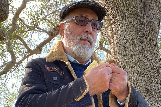 Food and Wine Tour between the Patriarchs Olives and the Oil Temples - Who Should Consider This Tour?