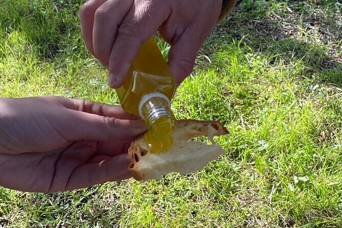 Food and Wine Tour between the Patriarchs Olives and the Oil Temples - Final Thoughts: Is the Food and Wine Tour in Matera Worth It?