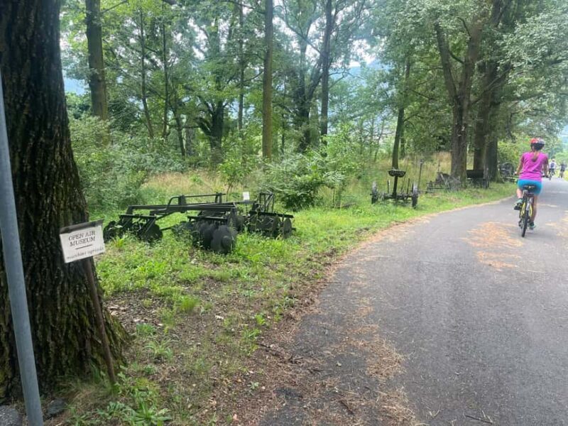 Food and Wine Tour: from the Royal Palace of Venaria to Val Susa/Sangone - Our Overall Take