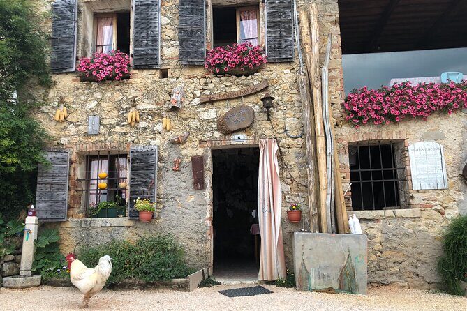 Food and Wine Tour on the Prosecco Hills from Venice - The Sum Up