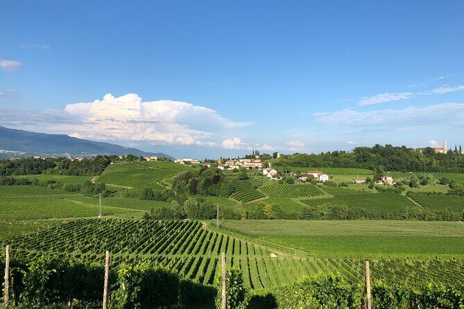 Food and Wine Tour on the Prosecco Hills from Venice - FAQ