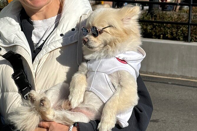 Food, Art, & Buildings of Midtown - Final Thoughts