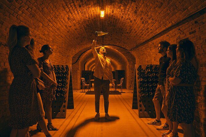 Food & Champagne Experience from Epernay (Private tour) - An In-Depth Look at the Champagne Food & Champagne Tour