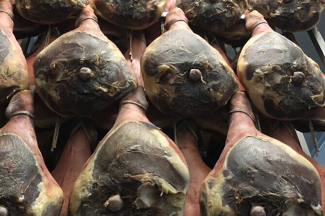 Food Excellences:Prosciutto, Parmigiano, Balsamic,Lunch,Transport - A Deep Dive into the Food Tours of Bologna and Modena