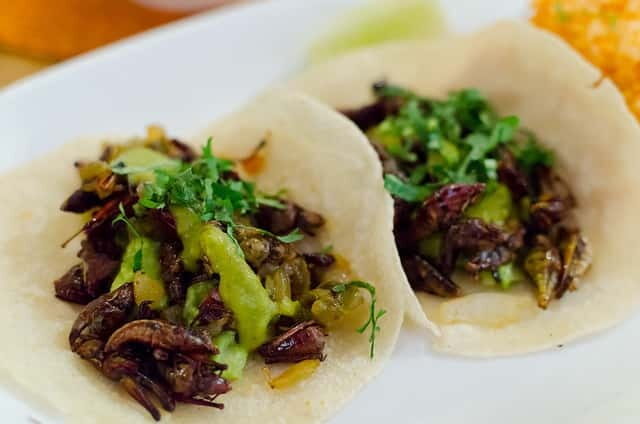 Food Hoppers 2.5-Hour Tour in Playa del Carmen - Key Points