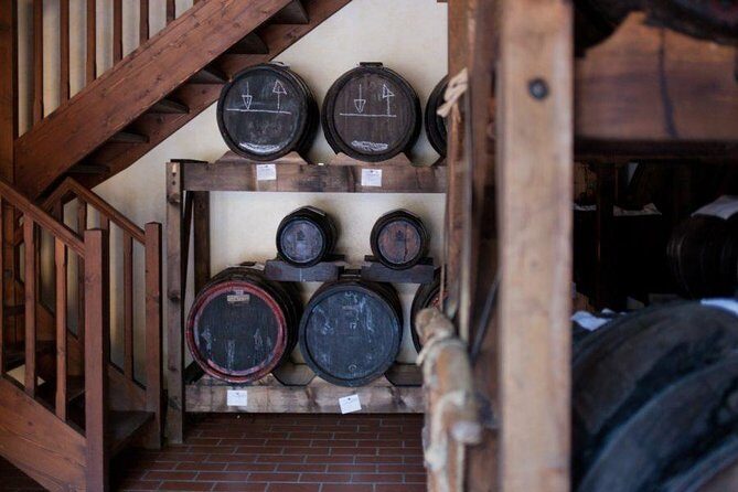 Food Tour: Parmigiano, Balsamic, Red Wine, lunch,transport - A Friendly Look at the Bologna Food Tour: Parmigiano, Balsamic, Red Wine, Lunch, Transport