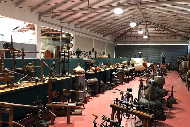 Food Tour: Parmigiano, Balsamic, Red Wine, lunch,transport - Who Will Love This Tour?