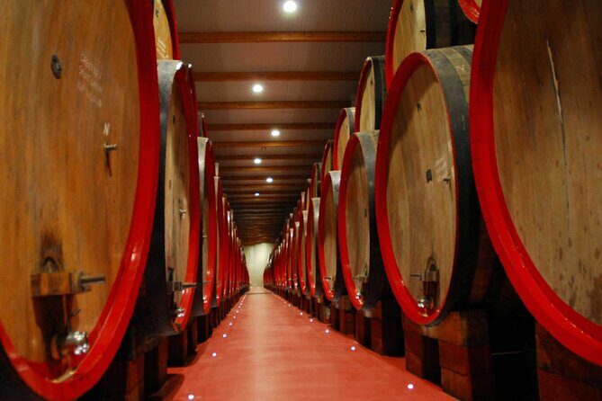 Food Tour: Parmigiano, Balsamic, Red Wine, lunch,transport - Final Thoughts: Is It Worth It?