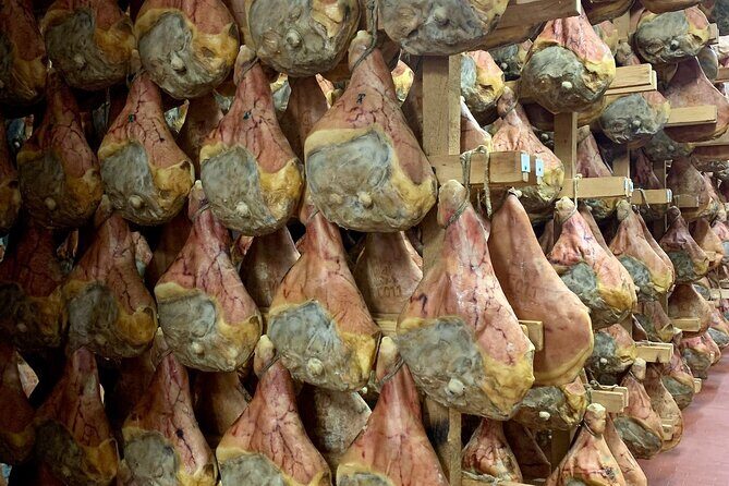 Food Valley: Parmesan, Prosciutto, Balsamic,Wine,Ferrari Day Tour - A Deep Dive into the Food Valley Experience