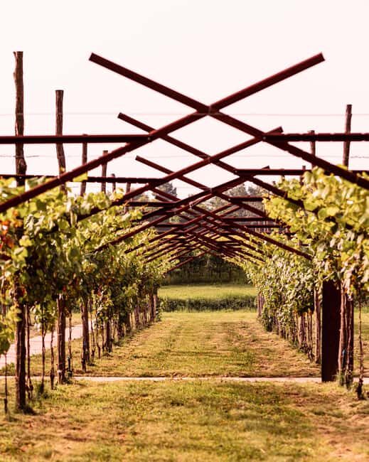 Food&Wine Tour to the discovery of Historical Casa Paladin - An In-Depth Look at the Casa Paladin Tour