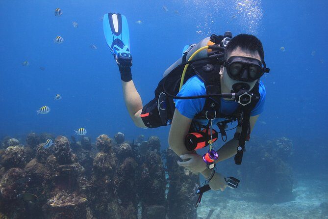 For certified Divers Experience the Under Water Museum and the Manchones Reef - Who Is This Tour Best For?