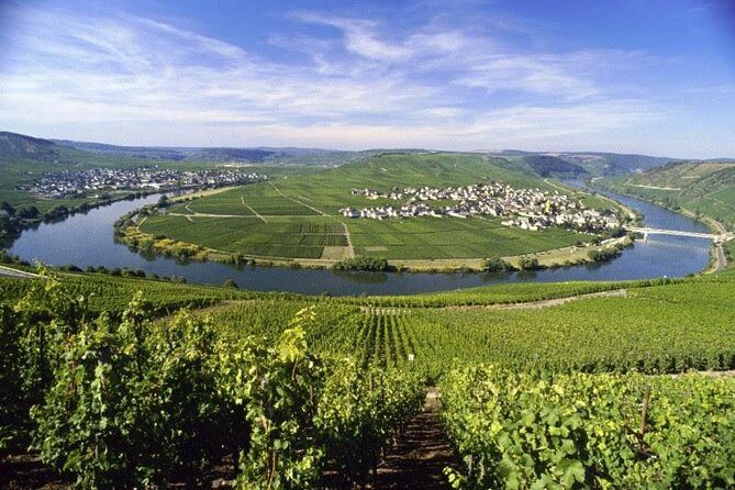 For the love of Riesling - Mosel Wine tour - Key Points