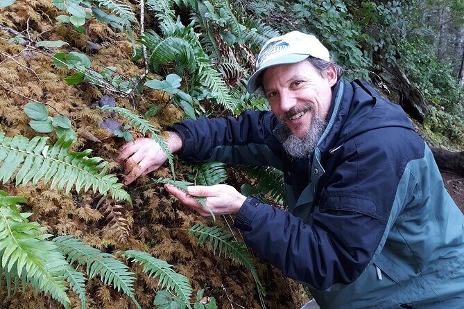 Foraging Tour of Edible Plants and Mushrooms in Brinnon - Foraging Tour of Edible Plants and Mushrooms in Brinnon