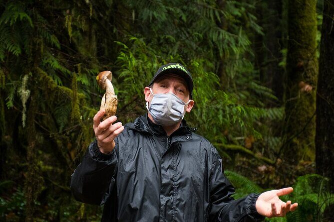 Foraging Tour of Edible Plants and Mushrooms in Brinnon - An In-Depth Look at the Foraging Experience