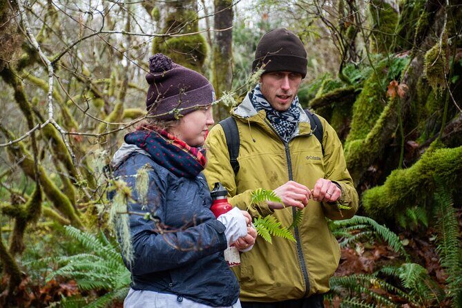 Foraging Tour of Edible Plants and Mushrooms in Brinnon - FAQ