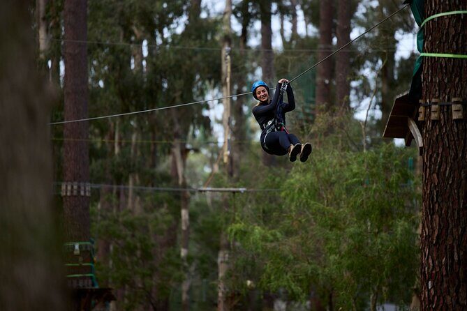 Forest Adventures - Forest Adventures: An Exciting High-Ropes Experience Near Busselton