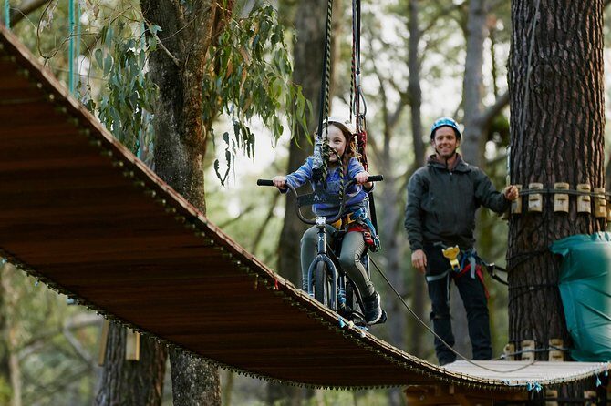 Forest Adventures - What to Expect at Forest Adventures