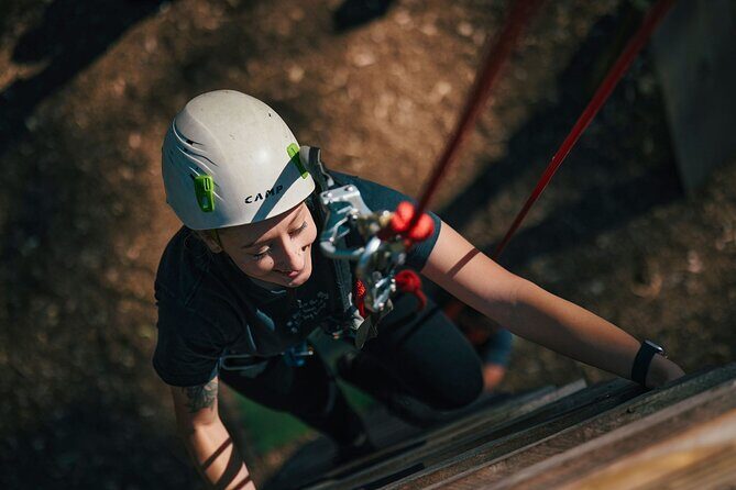 Forest Adventures - Who Will Love Forest Adventures?